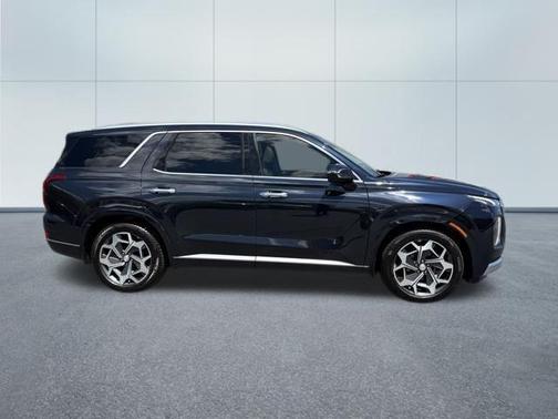 Moonlight Cloud 2021 Hyundai PALISADE Calligraphy