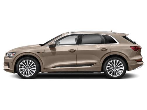 2019 Audi e-tron Prestige