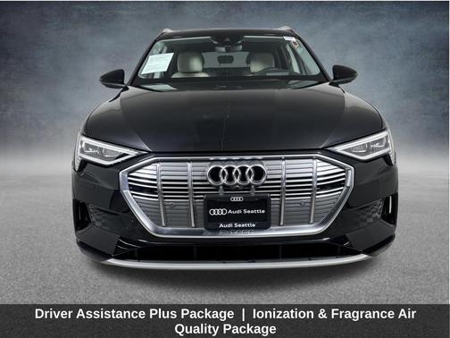 2019 Audi e-tron Prestige