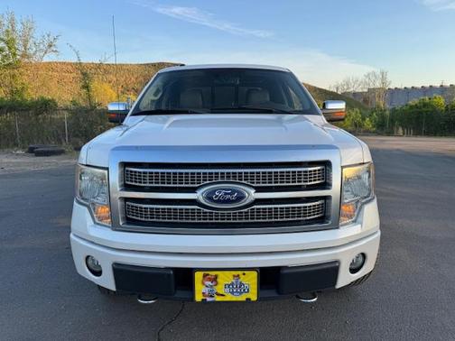 2010 Ford F-150 Harley-Davidson Edition