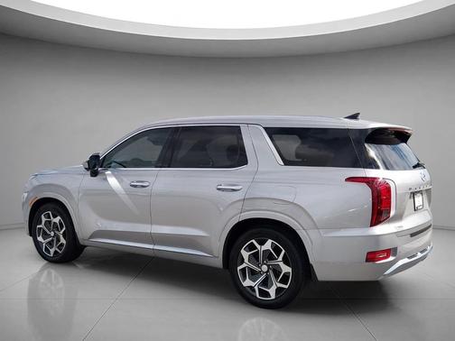 Typhoon Silver 2021 Hyundai PALISADE Calligraphy