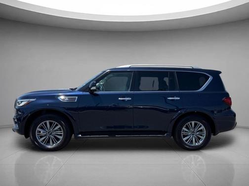 Hermosa Blue 2024 INFINITI QX80 Luxe