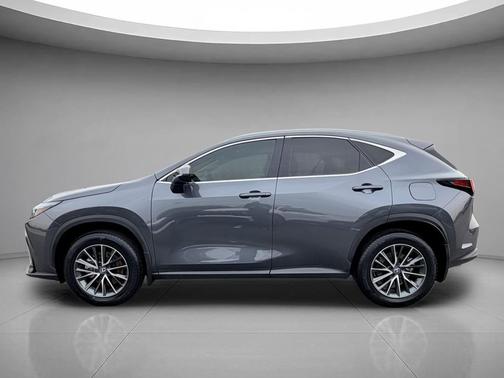2025 Lexus NX 350h Premium