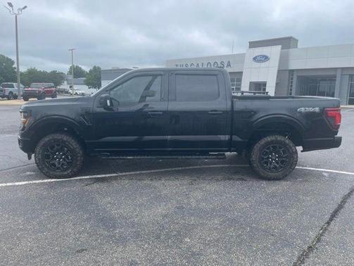Agate Black Metallic 2024 Ford F-150 XLT