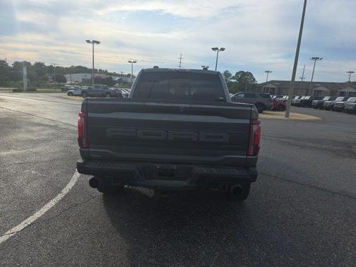 Gray Metallic 2025 Ford F-150 Raptor
