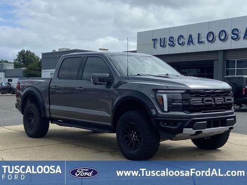 Gray Metallic 2025 Ford F-150 Raptor