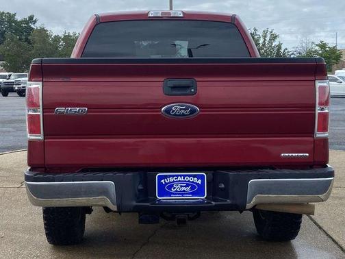 Ruby Red Metallic 2013 Ford F-150 XLT