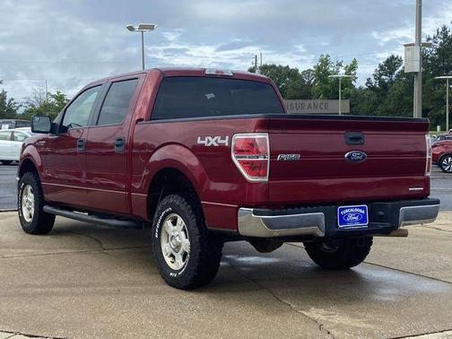 Ruby Red Metallic 2013 Ford F-150 XLT