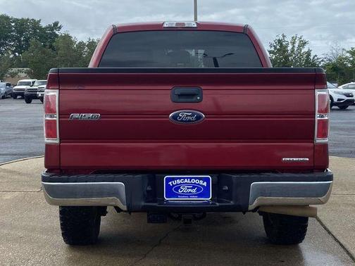Ruby Red Metallic 2013 Ford F-150 XLT