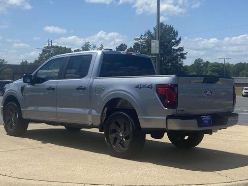 Silver Metallic 2025 Ford F-150 STX