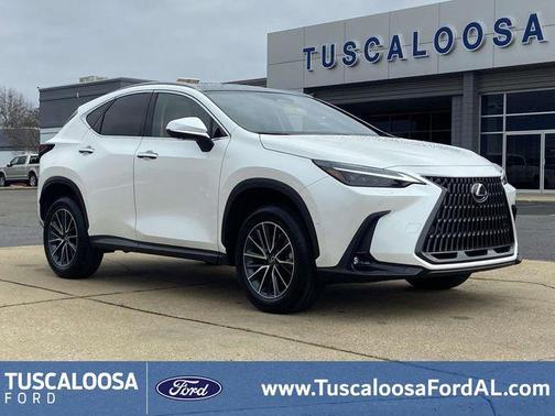 2025 Lexus NX 350h Luxury
