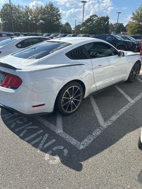 2019 Ford Mustang EcoBoost