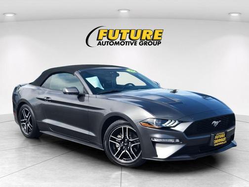 Magnetic 2019 Ford Mustang EcoBoost Premium