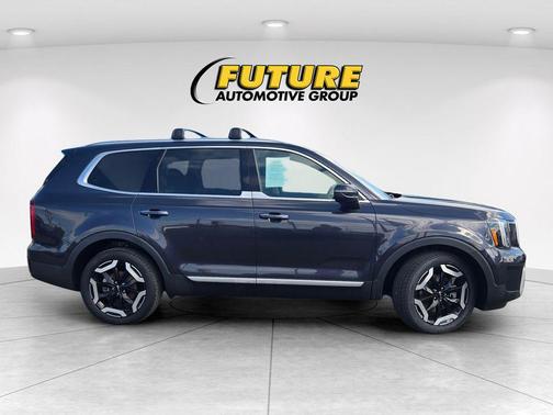 Panthera Metal 2025 Kia Telluride S
