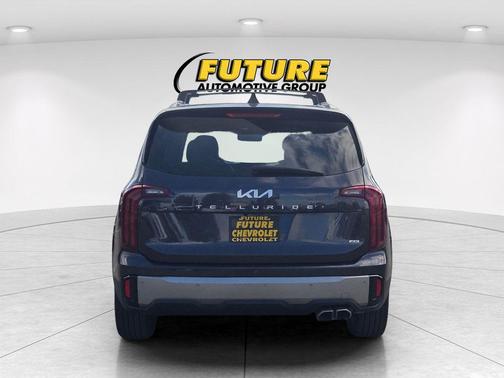 Panthera Metal 2025 Kia Telluride S