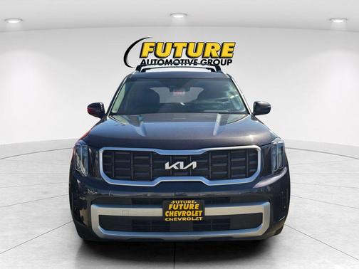 Panthera Metal 2025 Kia Telluride S