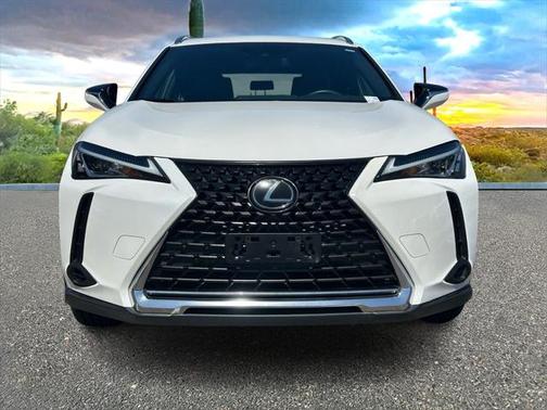 2019 Lexus UX 200 F Sport