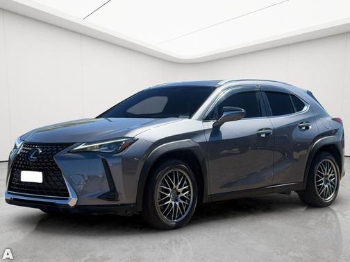 Nebula Gray Pearl 2020 Lexus UX 200 Base