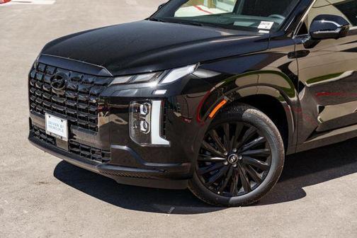 Abyss Black Pearl 2025 Hyundai PALISADE Calligraphy Night Edition