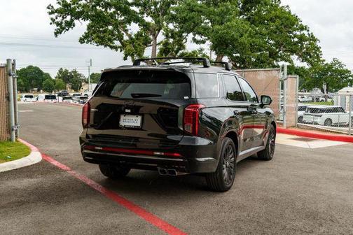 Abyss Black Pearl 2025 Hyundai PALISADE Calligraphy Night Edition