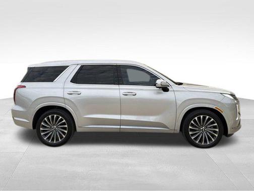 Typhoon Silver 2025 Hyundai PALISADE Calligraphy