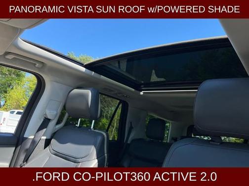 AGATE BLACK METALLIC 2025 Ford Expedition ACTIVE
