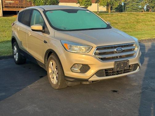White Gold Metallic 2017 Ford Escape SE