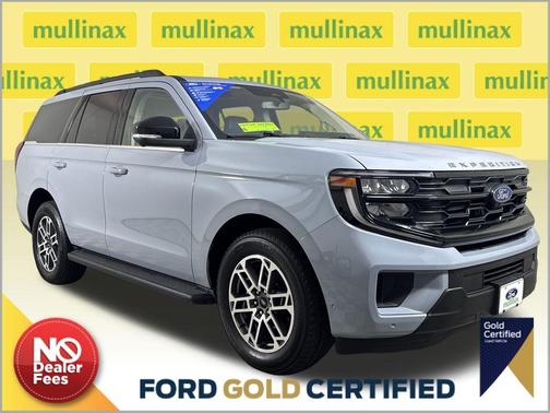 Glacier Gray Metallic 2025 Ford Expedition Active