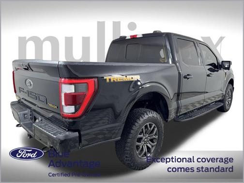 2021 Ford F-150 Tremor