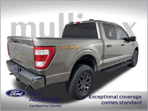 2021 Ford F-150 Tremor