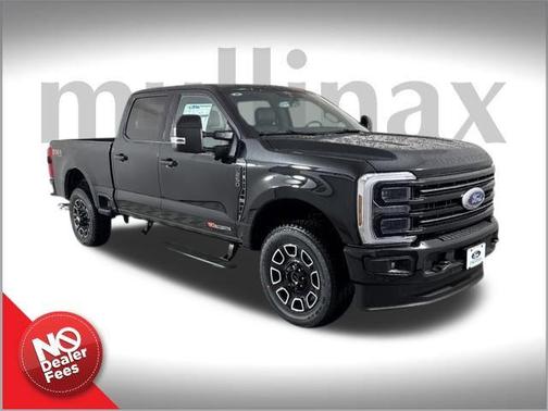 2025 Ford F-250 Platinum