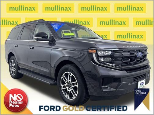 Gray Metallic 2025 Ford Expedition Active