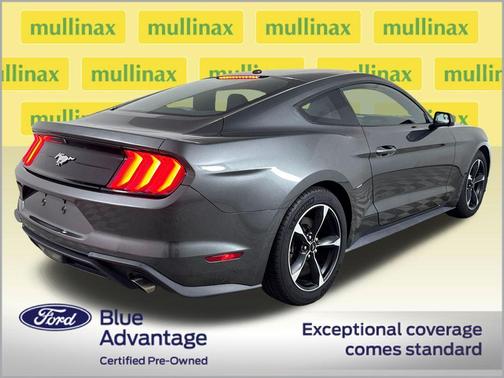 Magnetic 2019 Ford Mustang EcoBoost