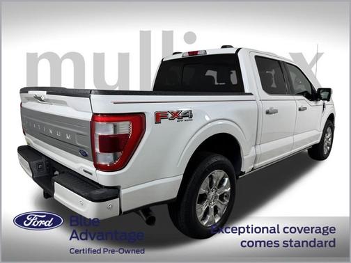 2021 Ford F-150 Platinum