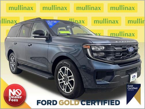 Stone Blue Metallic 2025 Ford Expedition Active