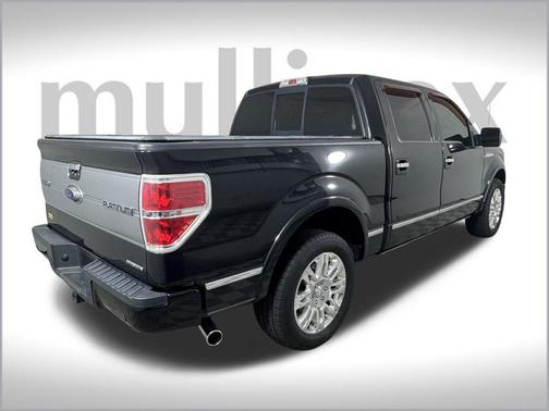 2013 Ford F-150 Platinum