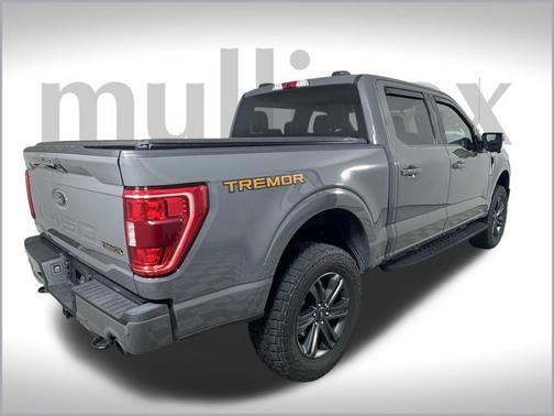 2021 Ford F-150 Tremor