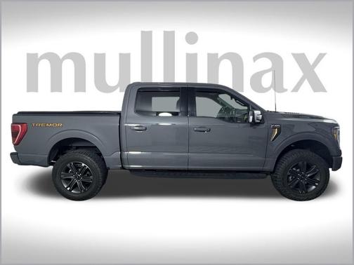 2021 Ford F-150 Tremor