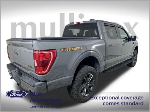 2021 Ford F-150 Tremor