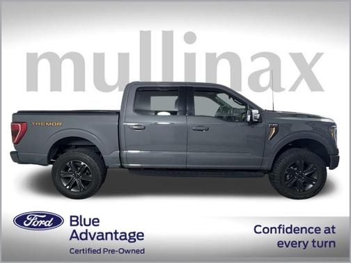 2021 Ford F-150 Tremor