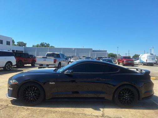 SHADOW BLACK 2019 Ford Mustang GT Premium