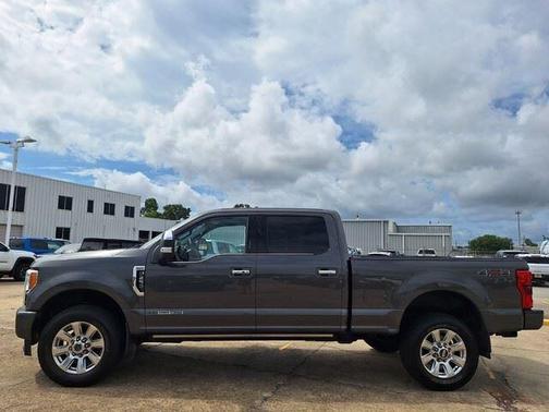 Magnetic Metallic 2017 Ford F-250 Platinum
