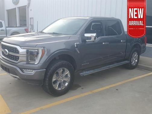 2022 Ford F-150 Platinum