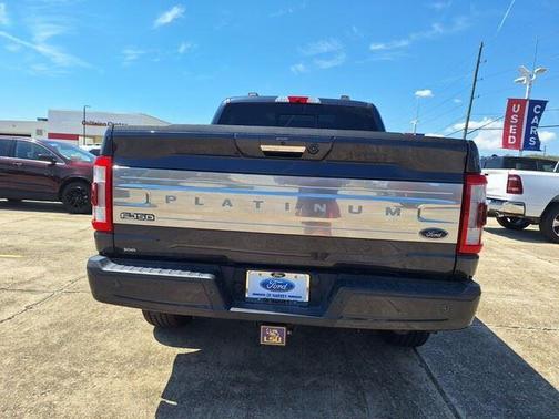 2021 Ford F-150 Platinum