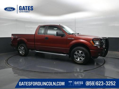 Sunset 2014 Ford F-150 STX