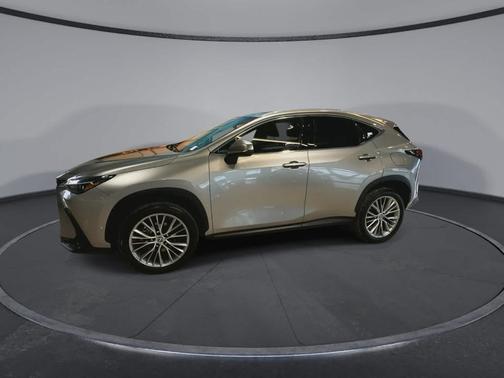2023 Lexus NX 350h Premium