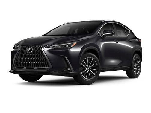 2022 Lexus NX 250 Base