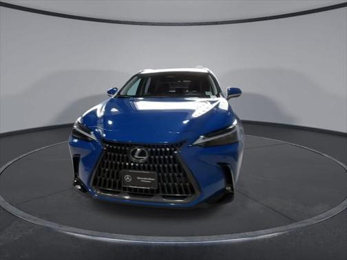 2024 Lexus NX 450h+ Luxury
