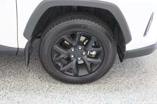 Ice 2024 Toyota RAV4 LE