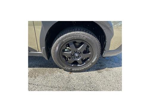 Autumn Green Metallic 2025 Subaru Outback Wilderness
